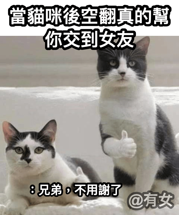 #自創 兄弟不用謝了 - 梗圖板 | Dcard