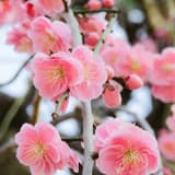銅板時代流通國際