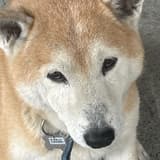 吉他好難