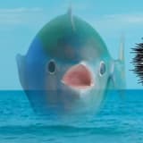 ccc
