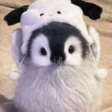千