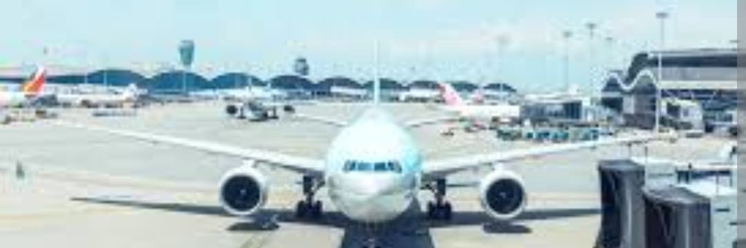 空姨黛西