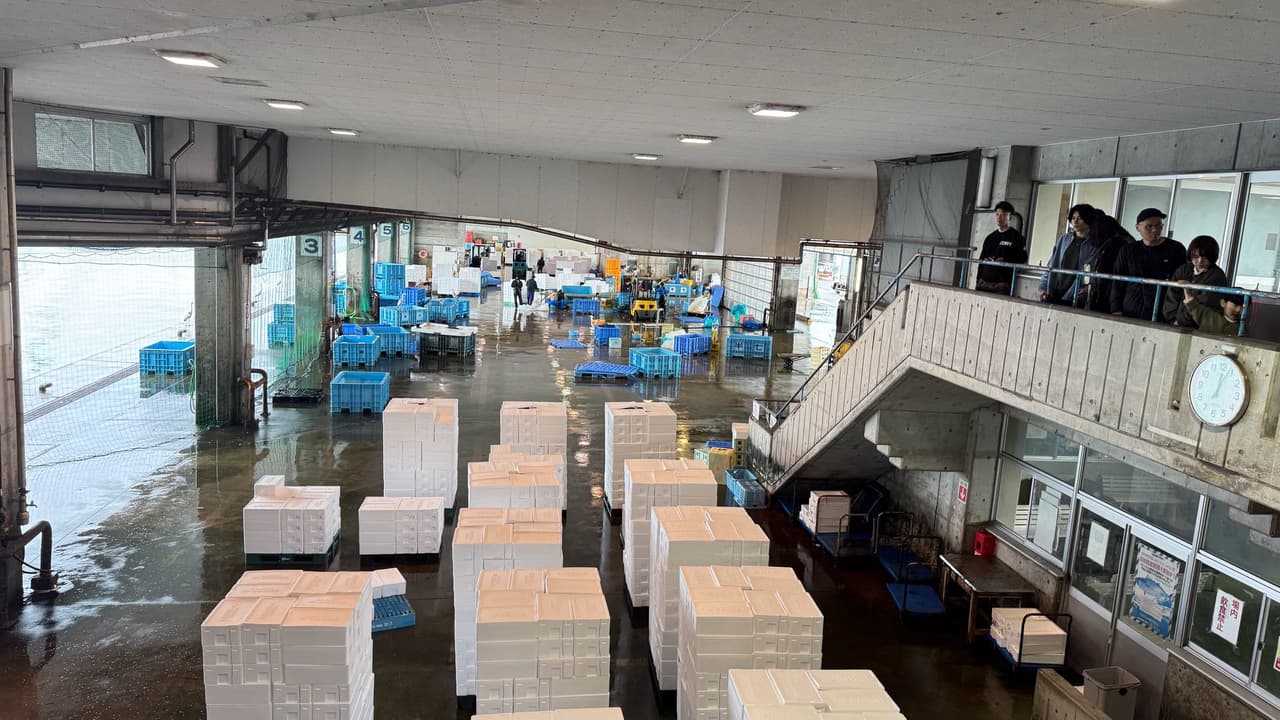 megapx