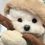 puppy061202