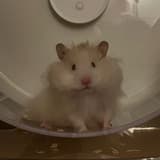 kai0605
