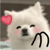 kiwi_mo7
