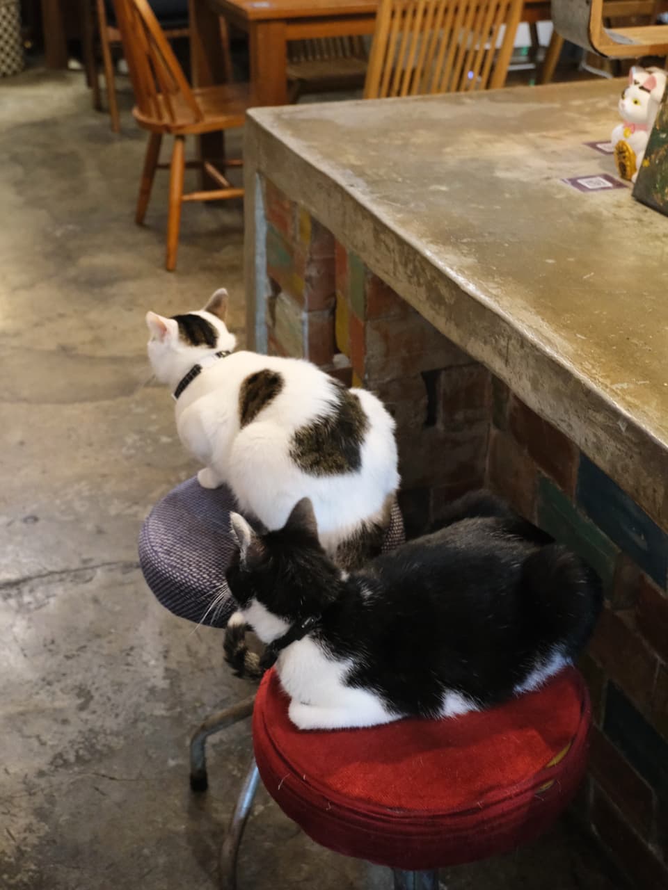 megapx