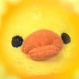 chiihuahua