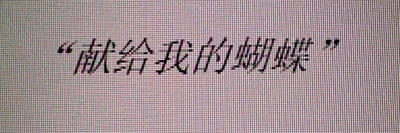 檸檬口味的玳瑁貓