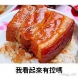 控肉飯