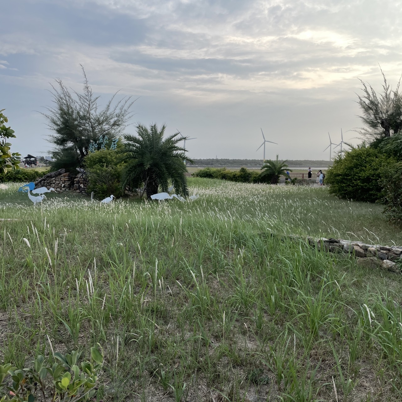 國內遊記 高美濕地半日遊～