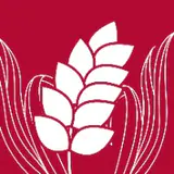 早稲田大学