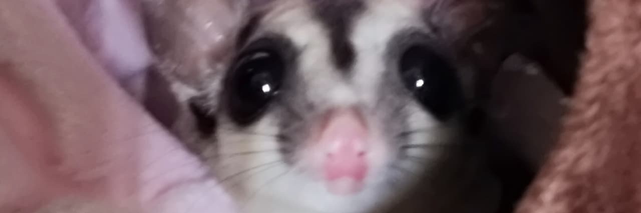 遲來的小妞
