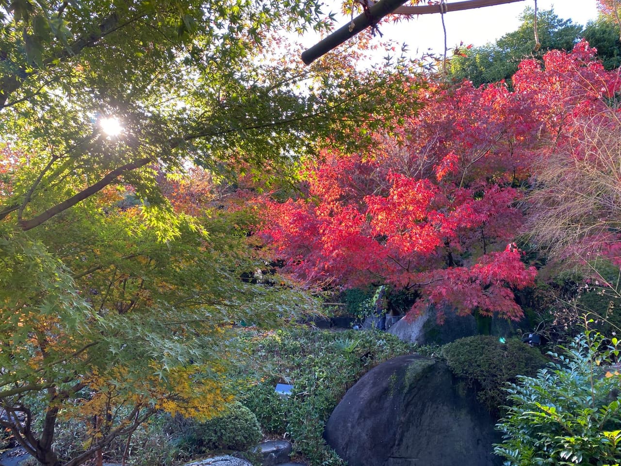 🍁東京豐島區目白庭院 日本生活板 Dcard