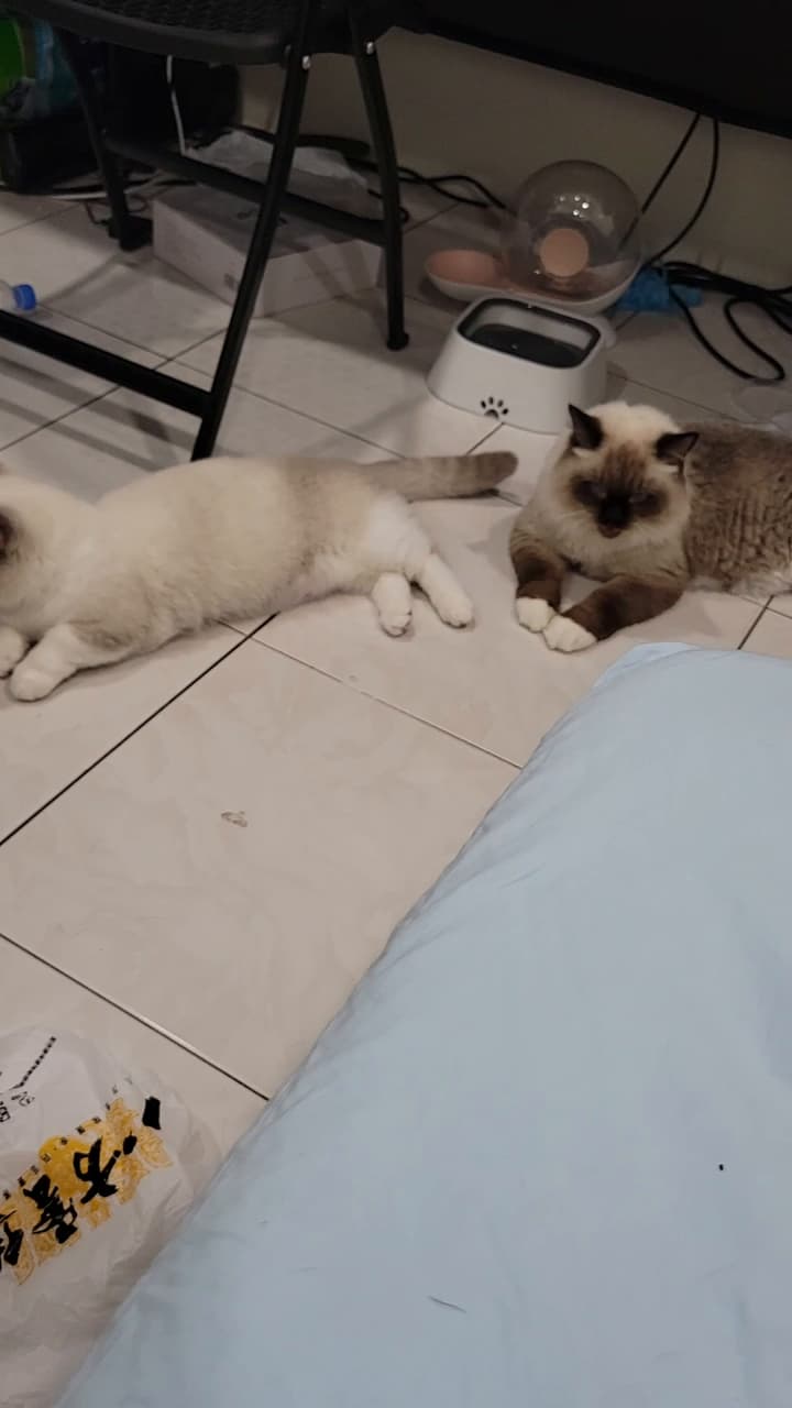 心情的最新討論 | Dcard