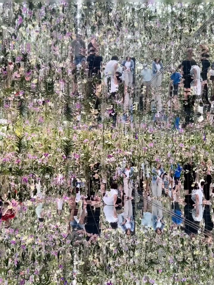 東京Teamlab+豐洲lalaport＆藍瓶一日遊 - 日本旅遊板 | Dcard